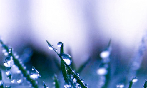 为什么双十二是购物节 为什么双十二是购物节