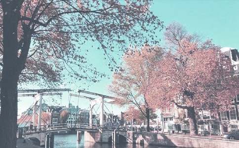 秋季第一学期九年级励志名言