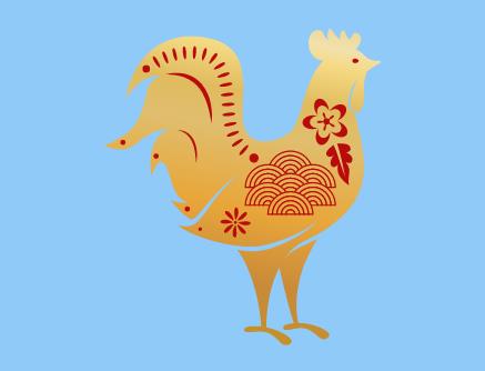 孵小鸡需要什么条件