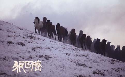 《狼图腾》中的励志名言