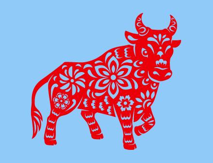 肉牛吃什么饲料长得快