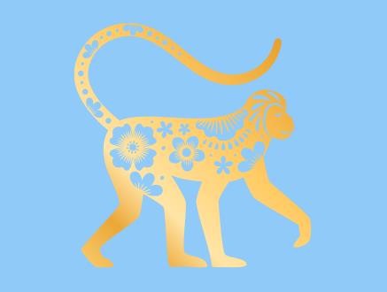 金丝猴栖息环境条件要求