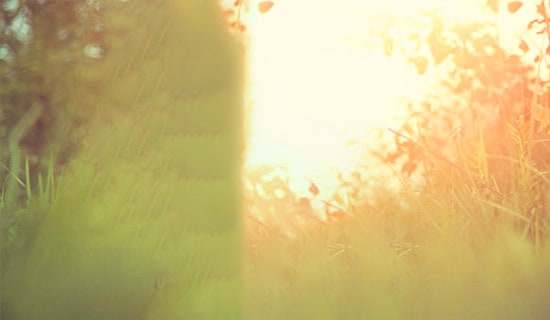 【必备】2025年唯美古风句子集合86条