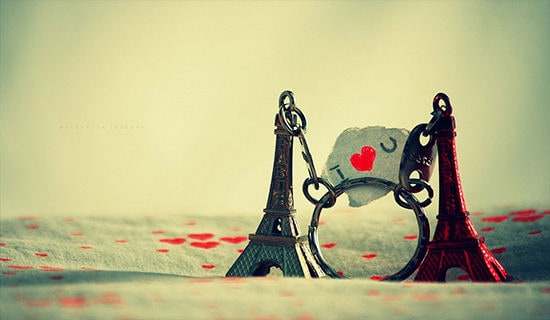 感悟爱情的名言警句摘抄