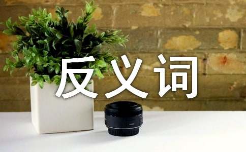 带有反义词的成语