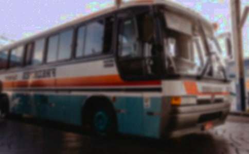 城乡客运一体化发展工作汇报