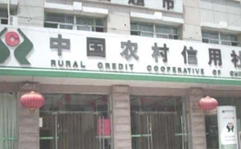 农村信用社半年工作总结
