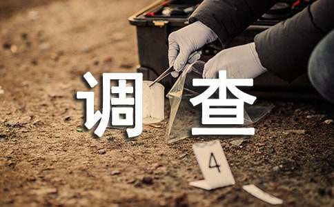 车辆调查报告（通用11篇）