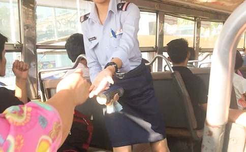 公交车售票员社会实践工作汇报