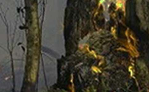 秋冬季火灾事故防治工作汇报