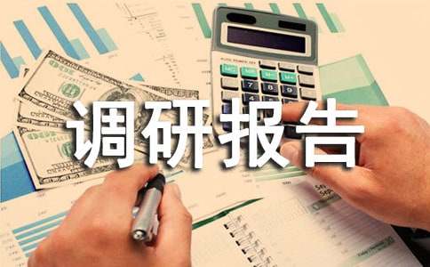 关于市政调研报告(通用20篇)