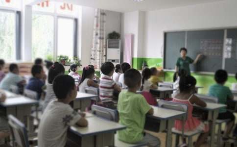 年度下学期小学科学教学工作总结