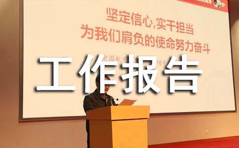 地税局党组工作报告