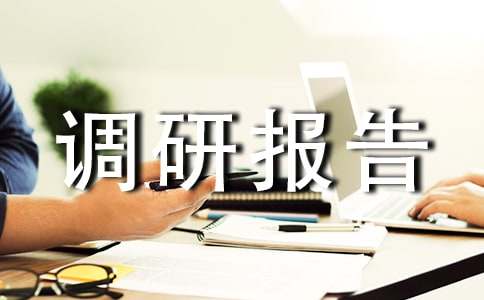 产业园区调研报告