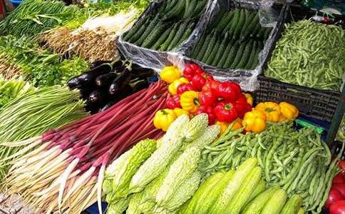 水果蔬菜招标合同