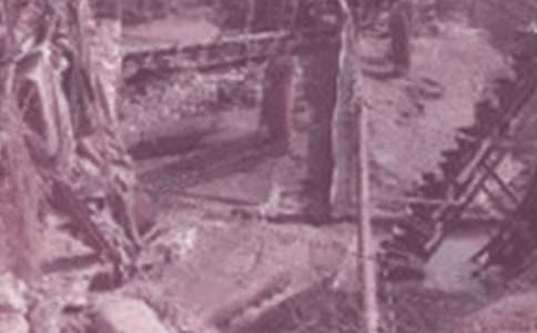 煤和石油  教案（二）