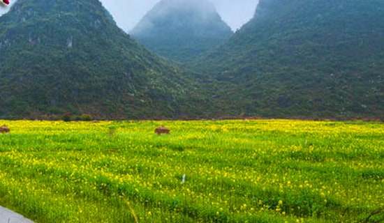 实用的春游方案6篇