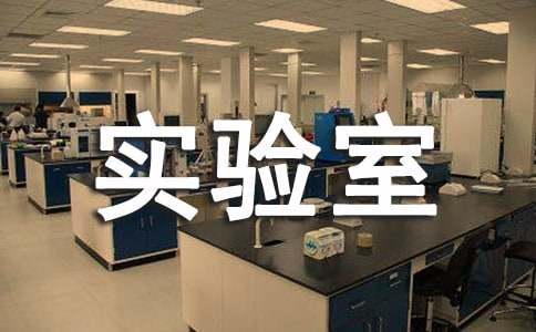 化学实验室工作总结最新
