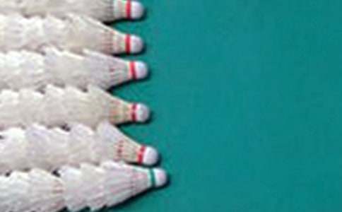 羽毛球工作汇报