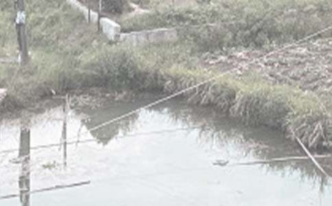 鱼塘承包合同范本