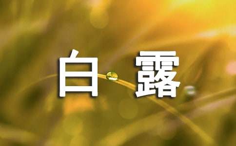 关于白露的谚语(实用)