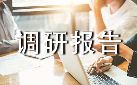 新业态调研报告