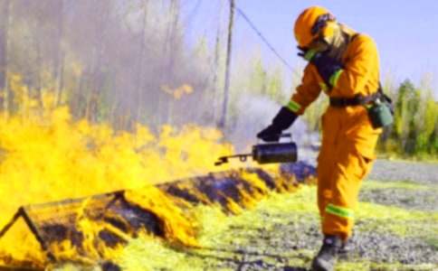 关于消防演练方案8篇