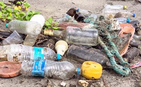 城市垃圾的问题_[实习报告]