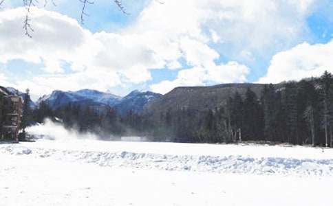 冬季森林防火工作汇报