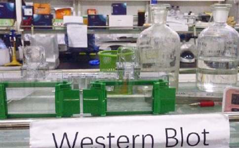 第四节二氧化碳的实验室制法化学教案（通用7篇）