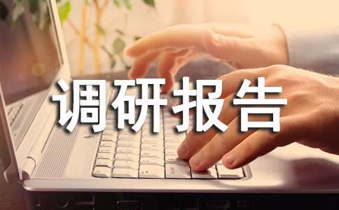 农村指导员调研报告