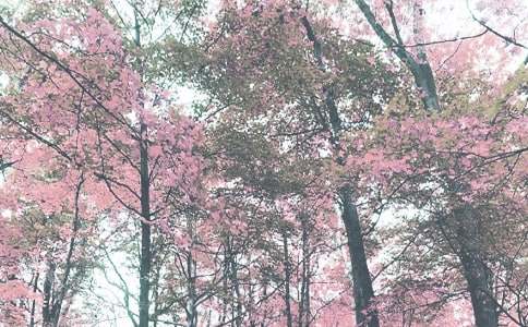 秋季学期工作总结