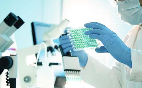 博士研究计划书模板-博士项目研究计划书