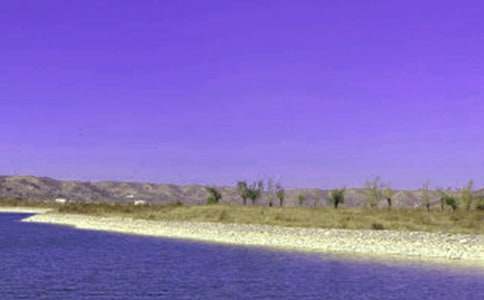 标准水库承包合同