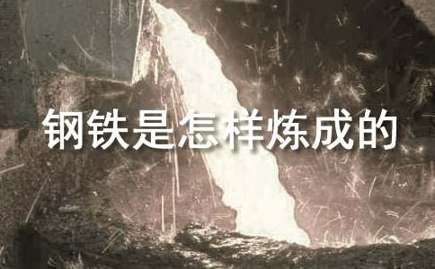 钢铁是怎样炼成的读书心得范文