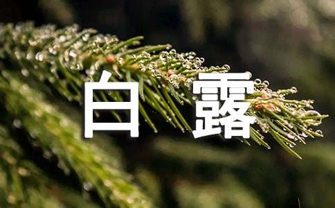 白露节气关于天气的谚语