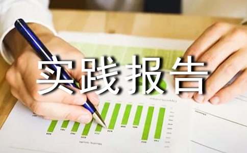 高中社会实践报告