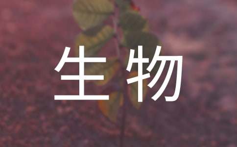 初一生物教案(精选15篇)
