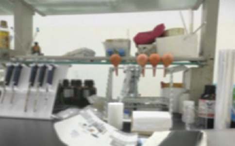 兽医实验室工作方案