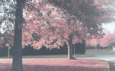 秋季有关天气的谚语220句