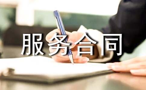 计算机系统技术服务合同模板