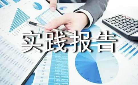 社会实践报告合集15篇