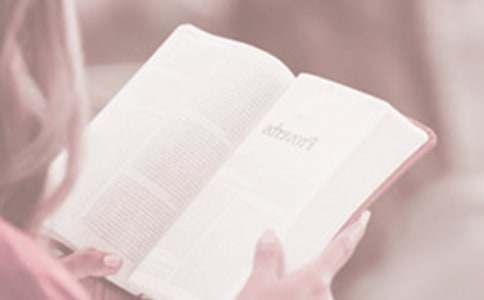 世界读书日演讲稿(通用12篇)