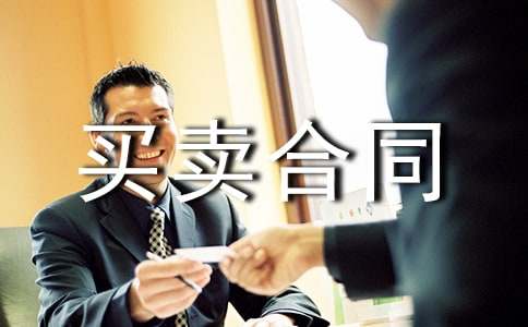 系统买卖合同参考范本