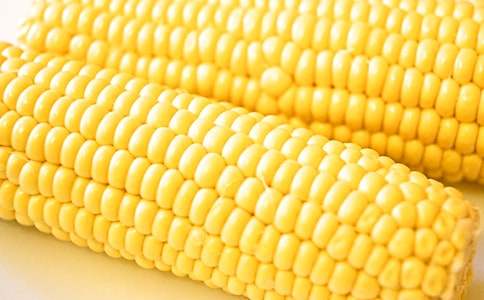 玉米购销买卖合同范本