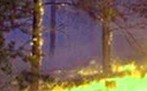 冬季火灾防控自查报告