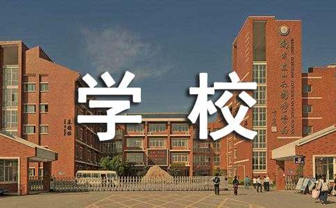 学校后勤个人的工作总结13篇