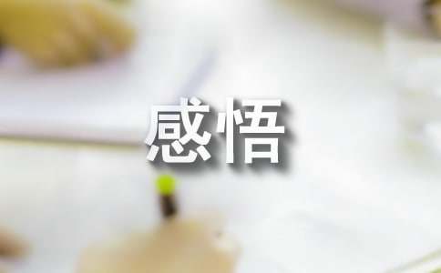 对中国饮食文化的感悟