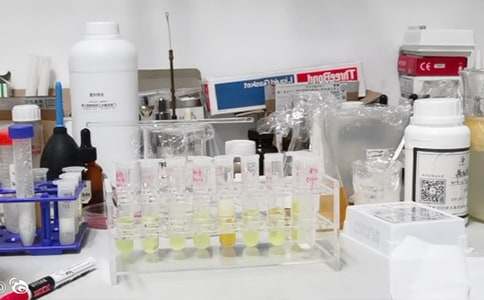 实验室认证工作方案