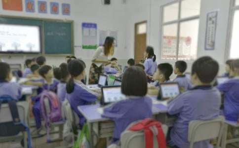 小学六年级的教学工作总结